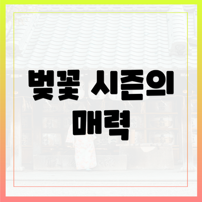 벚꽃 시즌의 매력