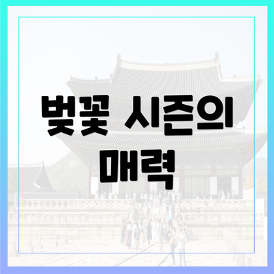 벚꽃 시즌의 매력