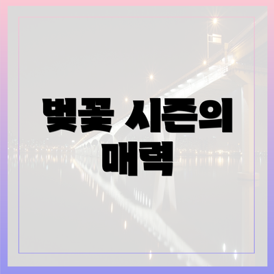 벚꽃 시즌의 매력