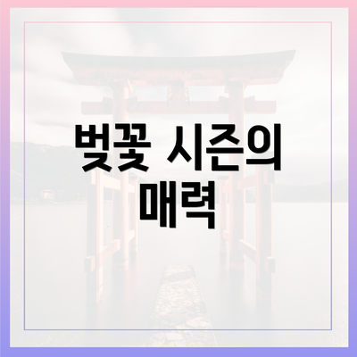 벚꽃 시즌의 매력