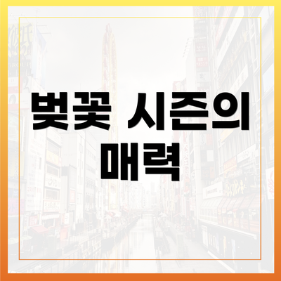 벚꽃 시즌의 매력