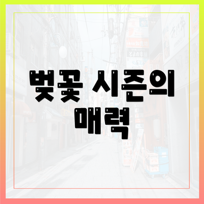 벚꽃 시즌의 매력