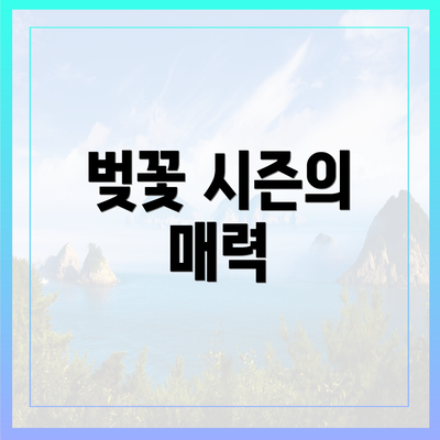 벚꽃 시즌의 매력