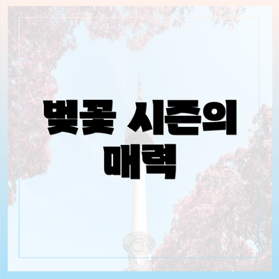 벚꽃 시즌의 매력