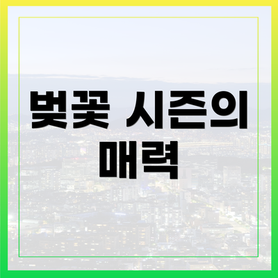 벚꽃 시즌의 매력