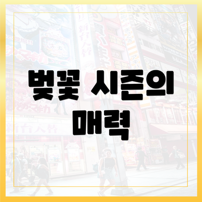 벚꽃 시즌의 매력