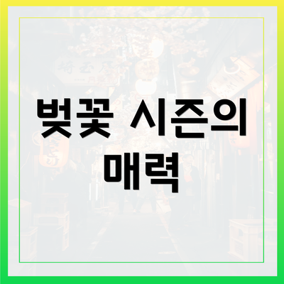 벚꽃 시즌의 매력