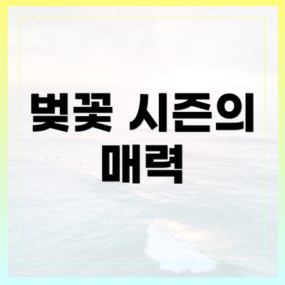 벚꽃 시즌의 매력