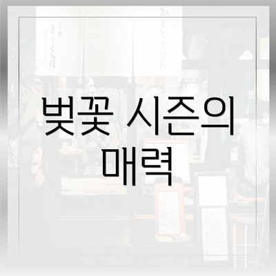 벚꽃 시즌의 매력