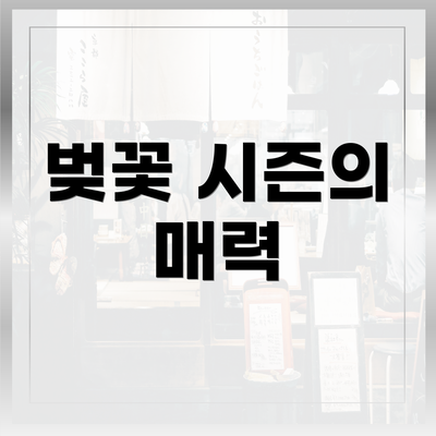 벚꽃 시즌의 매력