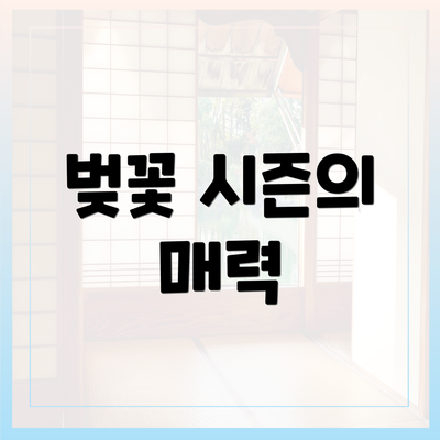 벚꽃 시즌의 매력