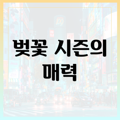 벚꽃 시즌의 매력