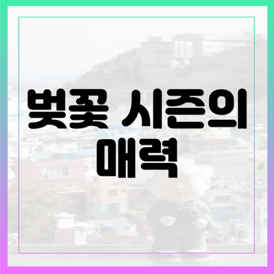 벚꽃 시즌의 매력