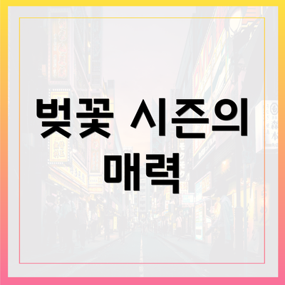 벚꽃 시즌의 매력