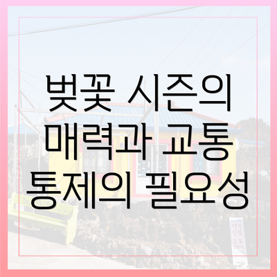 벚꽃 시즌의 매력과 교통 통제의 필요성