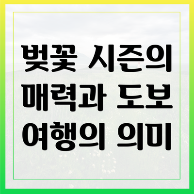 벚꽃 시즌의 매력과 도보 여행의 의미