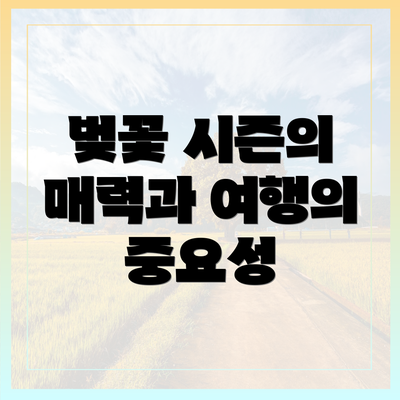 벚꽃 시즌의 매력과 여행의 중요성