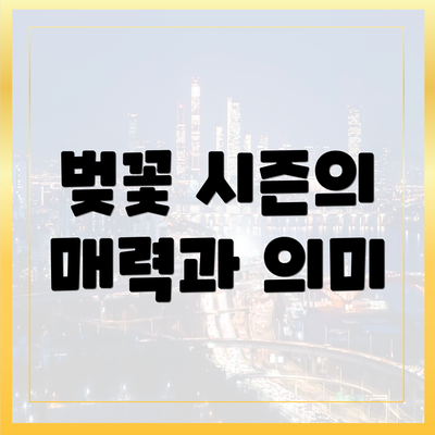 벚꽃 시즌의 매력과 의미