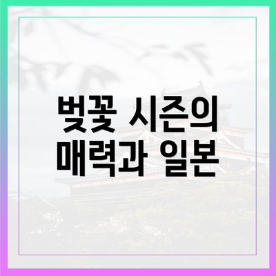 벚꽃 시즌의 매력과 일본