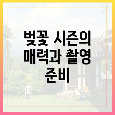 벚꽃 시즌의 매력과 촬영 준비