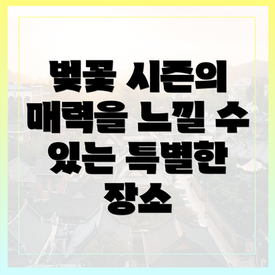 벚꽃 시즌의 매력을 느낄 수 있는 특별한 장소
