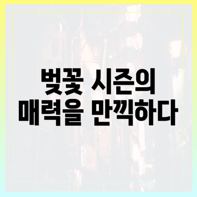 벚꽃 시즌의 매력을 만끽하다