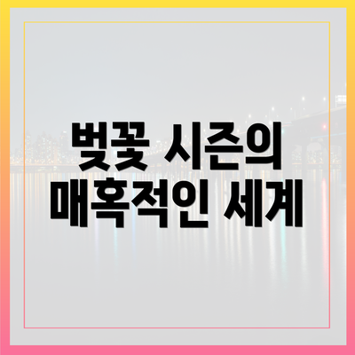 벚꽃 시즌의 매혹적인 세계