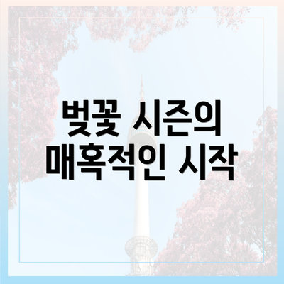 벚꽃 시즌의 매혹적인 시작