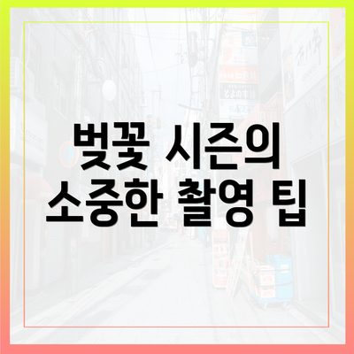 벚꽃 시즌의 소중한 촬영 팁