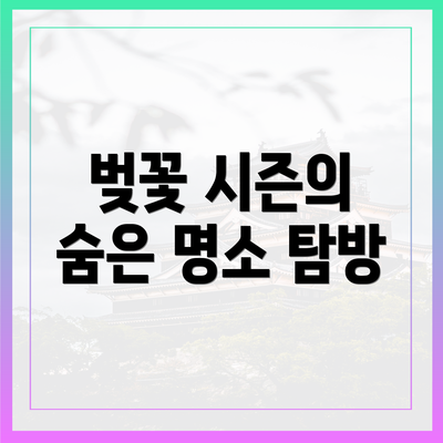 벚꽃 시즌의 숨은 명소 탐방