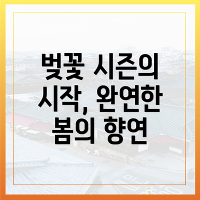 벚꽃 시즌의 시작, 완연한 봄의 향연