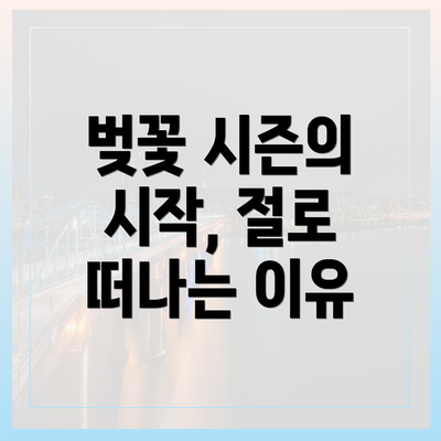 벚꽃 시즌의 시작, 절로 떠나는 이유