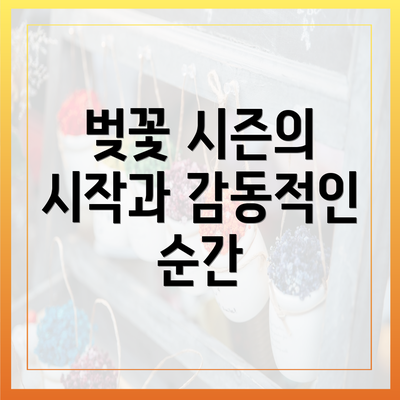 벚꽃 시즌의 시작과 감동적인 순간