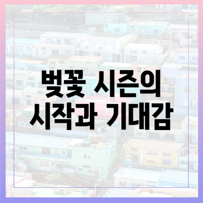 벚꽃 시즌의 시작과 기대감