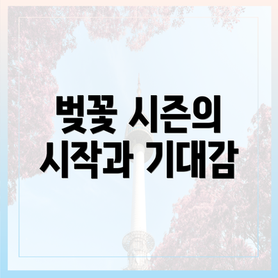 벚꽃 시즌의 시작과 기대감