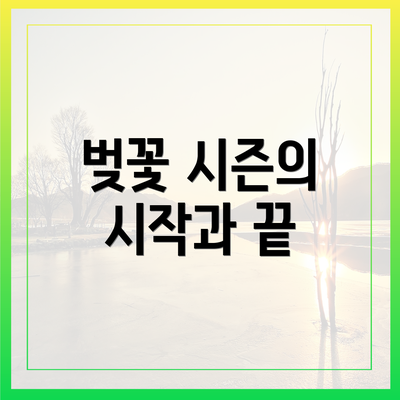 벚꽃 시즌의 시작과 끝