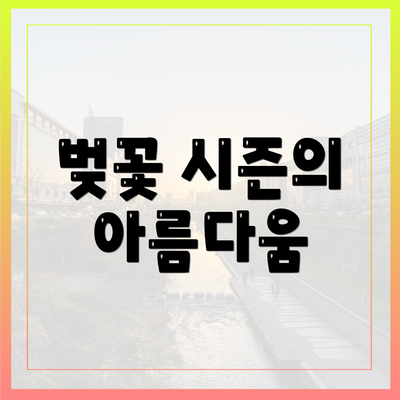 벚꽃 시즌의 아름다움