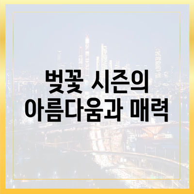벚꽃 시즌의 아름다움과 매력