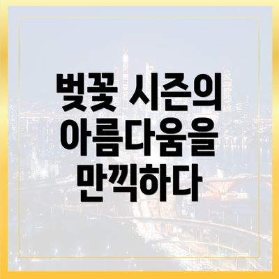 벚꽃 시즌의 아름다움을 만끽하다
