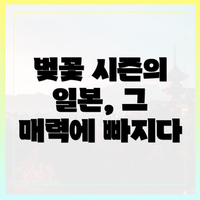 벚꽃 시즌의 일본, 그 매력에 빠지다