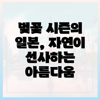 벚꽃 시즌의 일본, 자연이 선사하는 아름다움