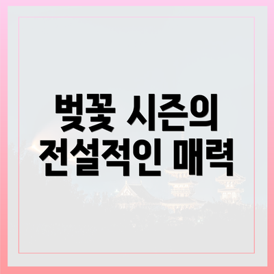 벚꽃 시즌의 전설적인 매력