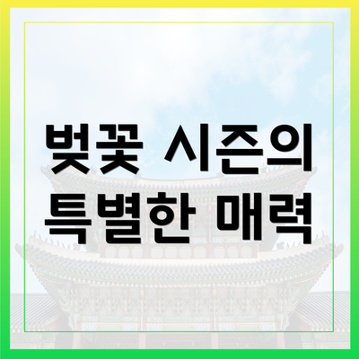 벚꽃 시즌의 특별한 매력