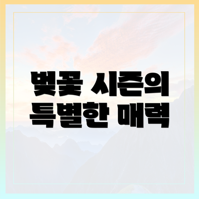 벚꽃 시즌의 특별한 매력