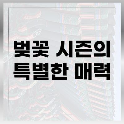 벚꽃 시즌의 특별한 매력