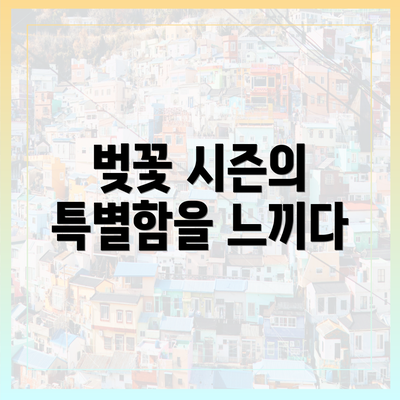 벚꽃 시즌의 특별함을 느끼다