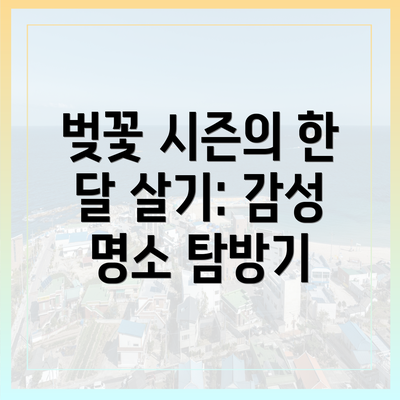 벚꽃 시즌의 한 달 살기: 감성 명소 탐방기