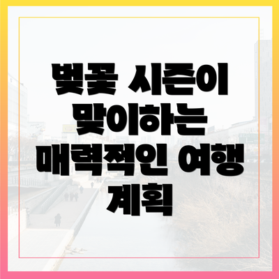 벚꽃 시즌이 맞이하는 매력적인 여행 계획