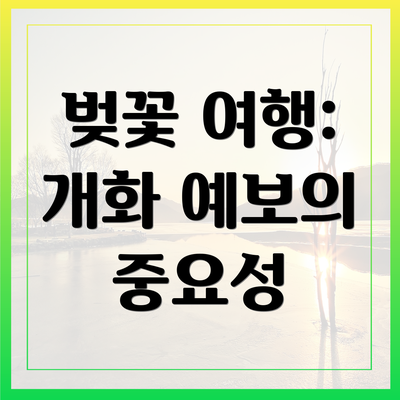 벚꽃 여행: 개화 예보의 중요성
