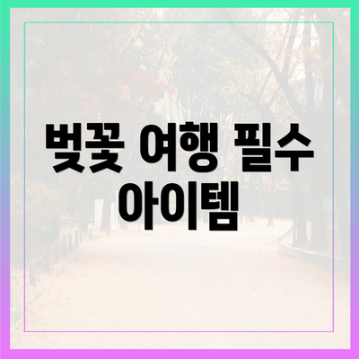 벚꽃 여행 필수 아이템